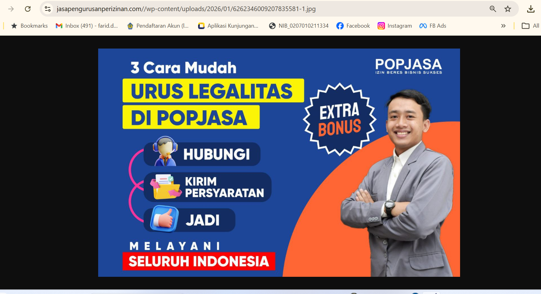 Website Konsultan 2